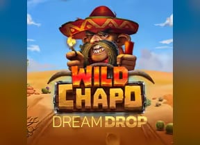 Wild Chapo Dream Drop