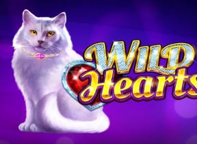 Wild Hearts