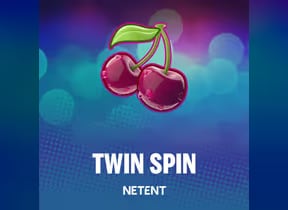 Twin Spin™