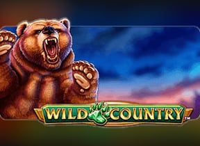 Wild Country™